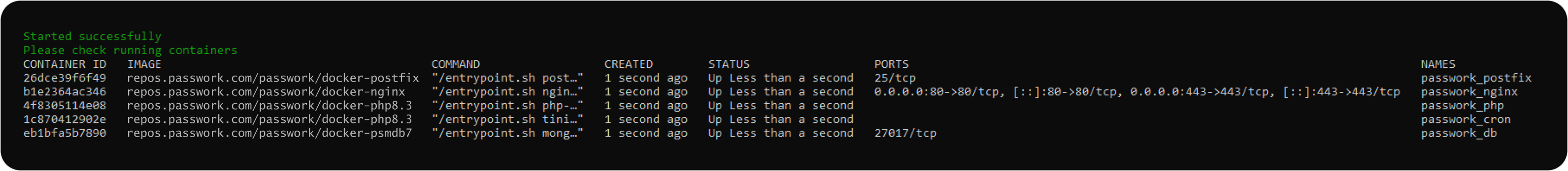 Output of correct Passwork installation in Docker